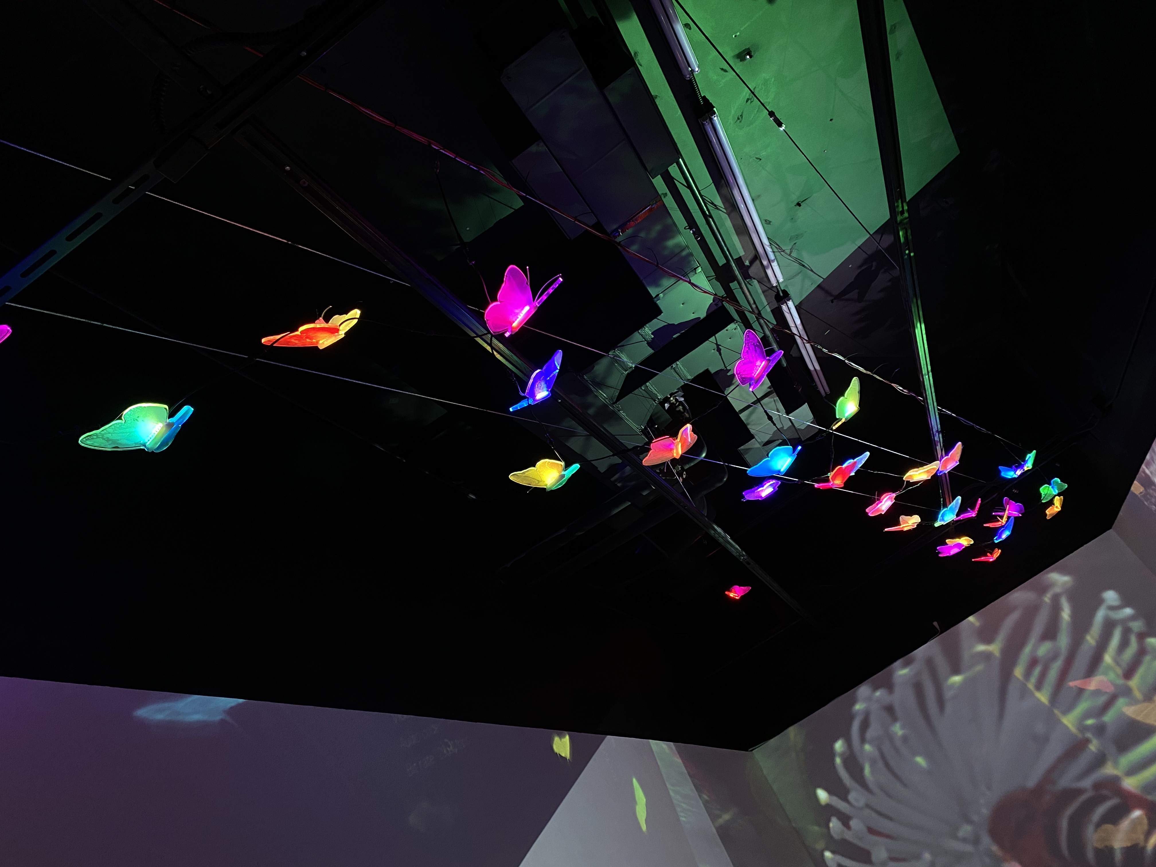 Butterflying